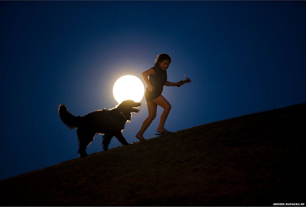 A girl plays with a dog as a perigee moon, also known as a supermoon, rises in Madrid,