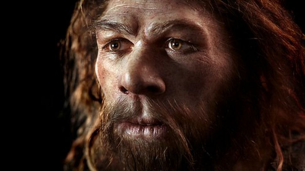 Neanderthal extinction not caused by brutal wipe out - BBC News