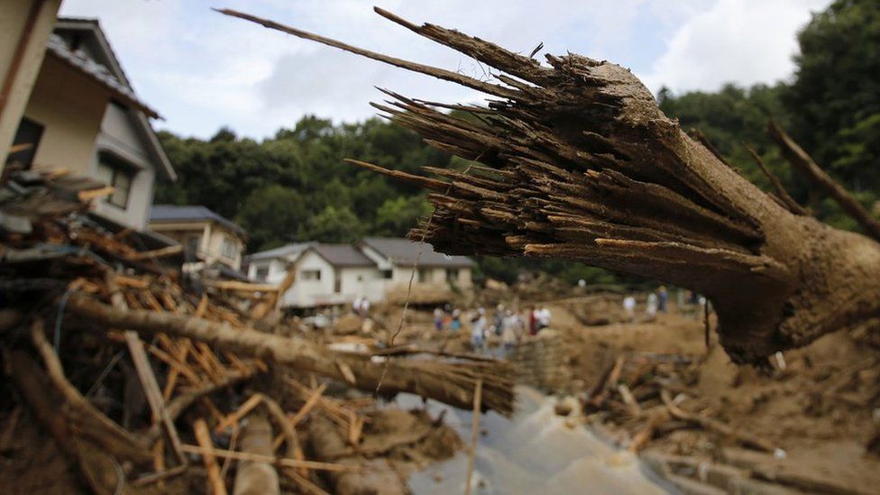 Broken trees are seen at a site where a landslide swept through a residential area at Asaminami ward in Hiroshima, western Japan, on 21 August, 2014