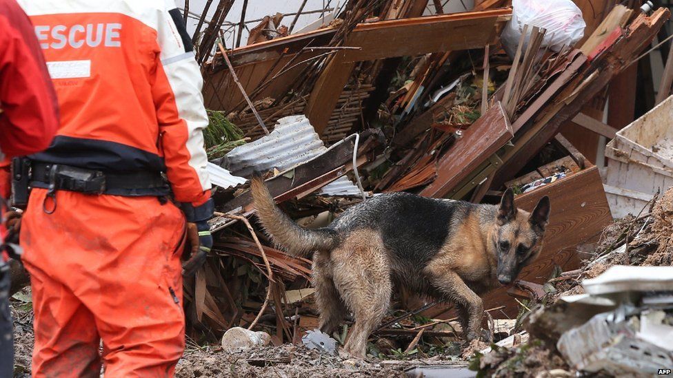 A dog and rescue workers search victims in collapsed house two days after a landslide hit a residential area in Hiroshima, western Japan on late August 22, 2014