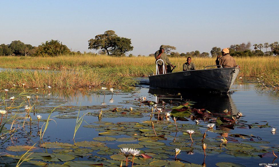 Okavango swamps