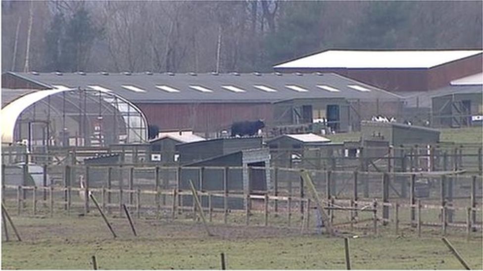 Fife Animal Park owner faces animal welfare charges BBC News