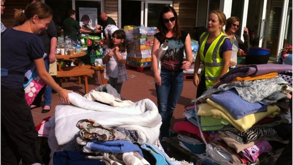 Manchester Dogs' Home fire Teenager is given bail BBC News