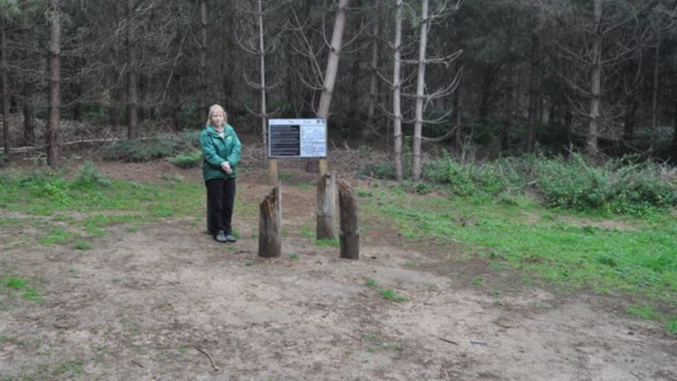 Rendlesham Ufo Incident Sculpture To Be Installed At Forest Site Bbc