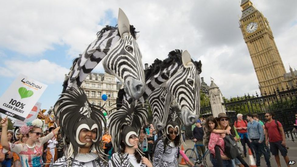 Climate change summit Global rallies demand action BBC News