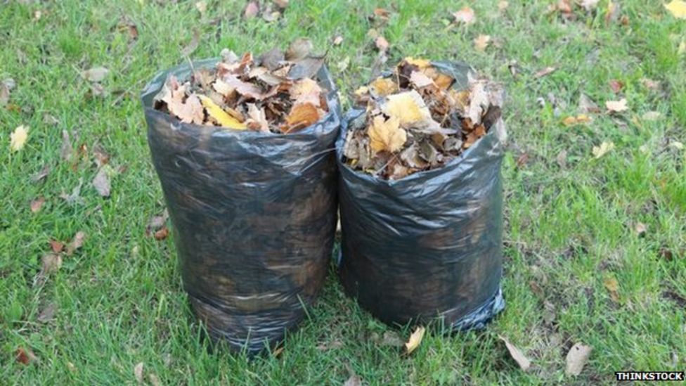 Scottish Borders Council to receive garden waste petition BBC News