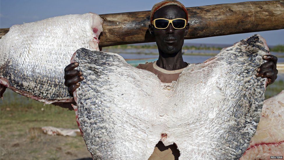 A Turkana man shows a part of a Nile Perch being dried at a fishing camp on the western shore of Lake Turkana, close to Todonyang, near the Kenya-Ethiopia border in northern Kenya on 24 September 2014