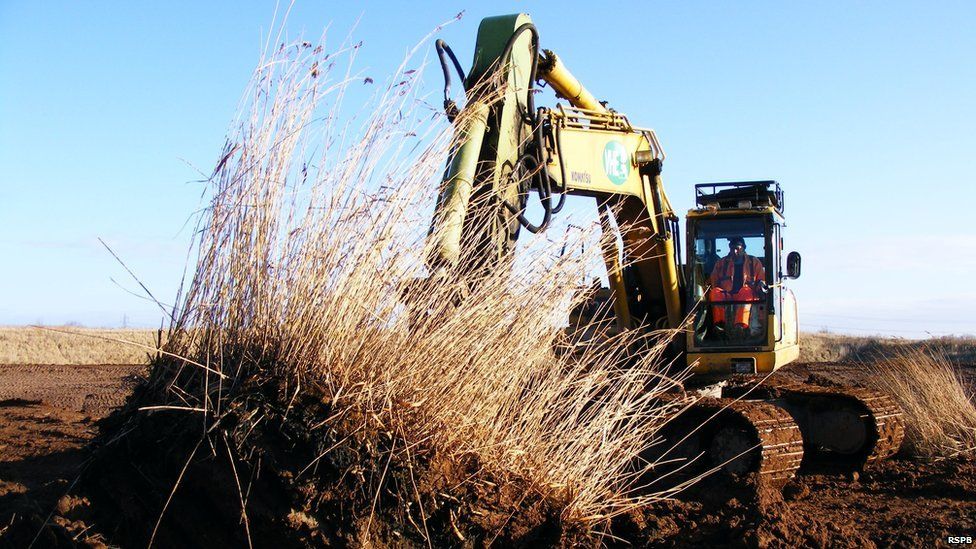 RSPB Langford Lowfields reedbed near Newark attracts 190 bird species