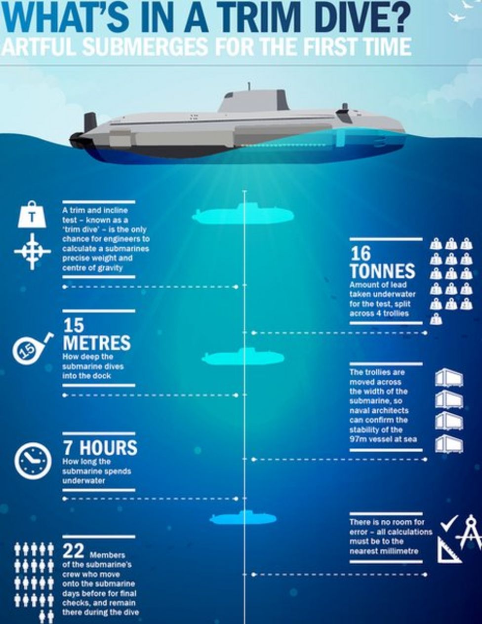  78061436 Artful Dive Infographic 1 