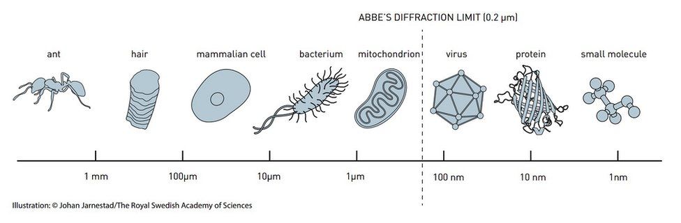 Scale