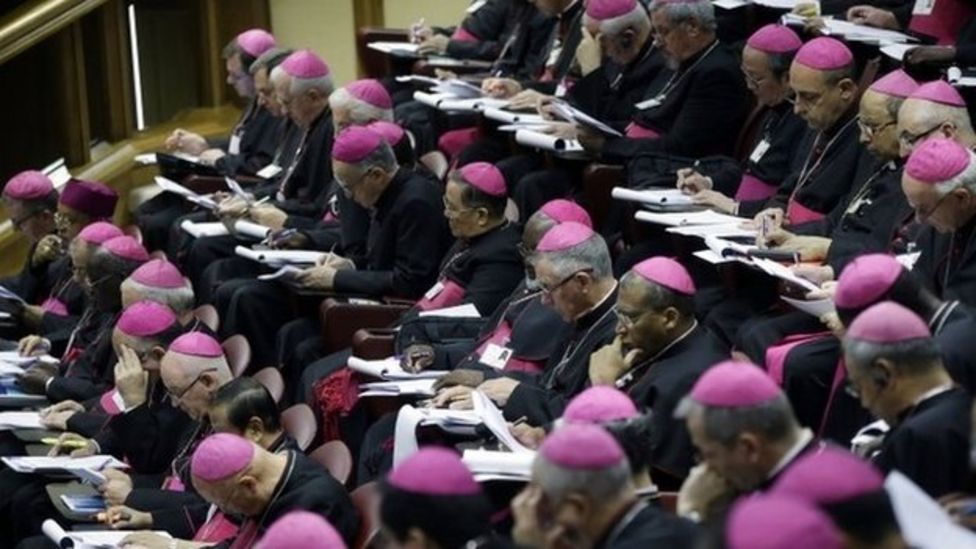 Vatican synod victory for pope francis on gay issues bbc news