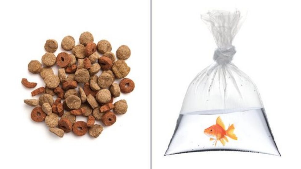 What does the carrier bag charge mean for Scotland? BBC News