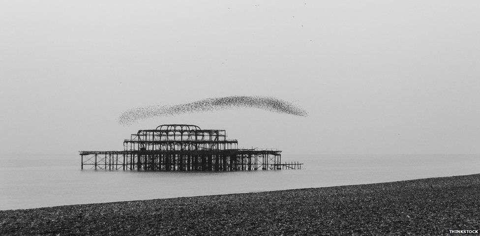 starlings over the West Pier at Brighton