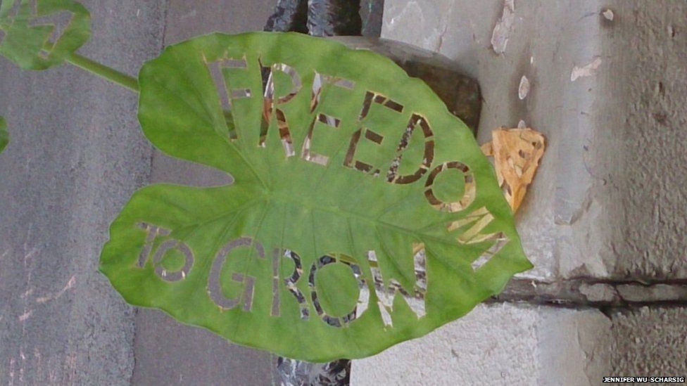 The words 'Freedom to grow' cut into a large leaf