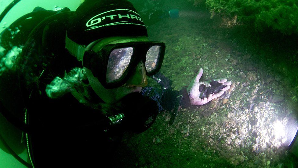 Diver recovering flint