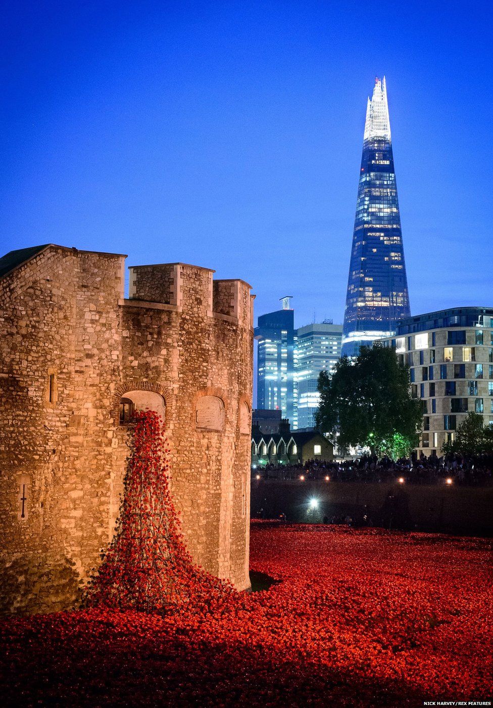 Poppies and the Shard