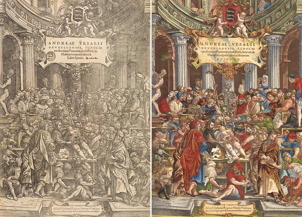 Front covers of the Fabrica and the Epitome - 16th Century medical books by Andreas Vesalius