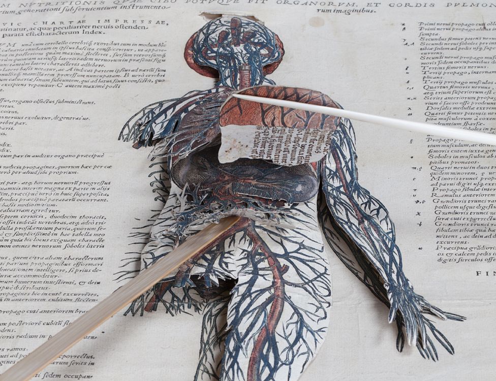Layered manikin - in 16th Century medical book by Andreas Vesalius
