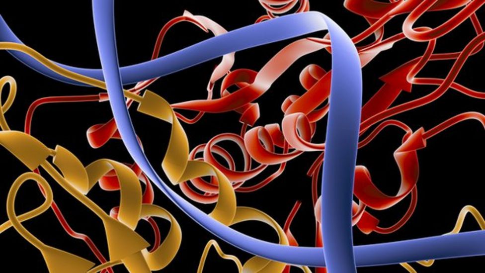 The Shocking Truth About Enzyme Names - p3ti21j