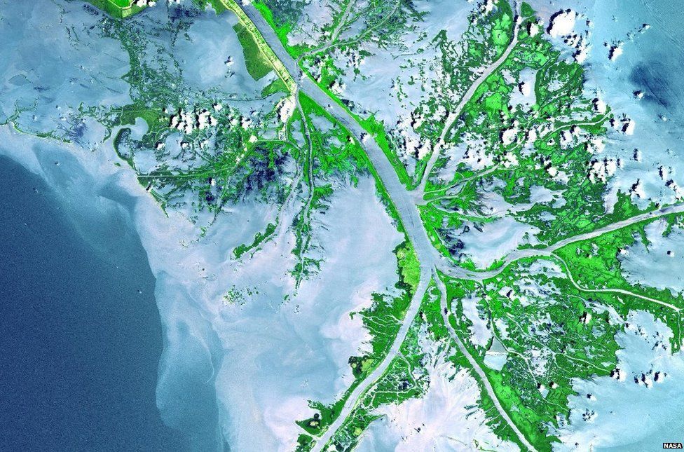 Satellite image of Mississippi River delta (c) NASA