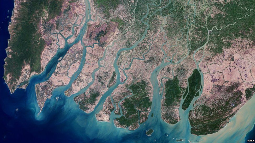 Irrawaddy River delta (c) NASA