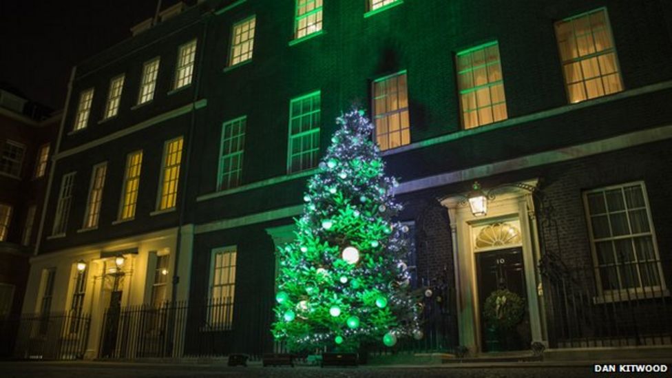 Herefordshire Christmas tree decorates Downing Street BBC News