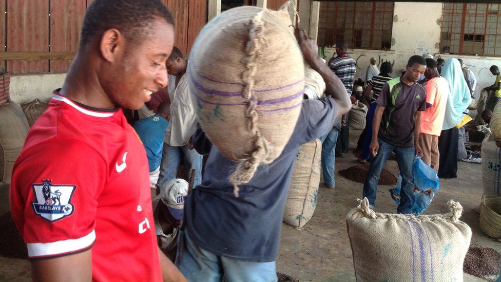 Putting cloves in sacks at collection centre