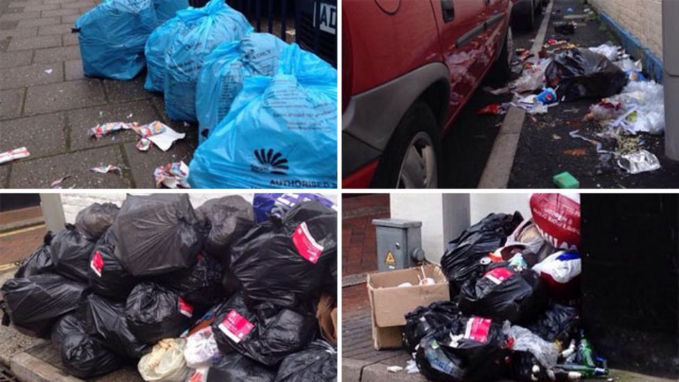 'Seagull proof' rubbish sacks introduced in Hastings BBC News