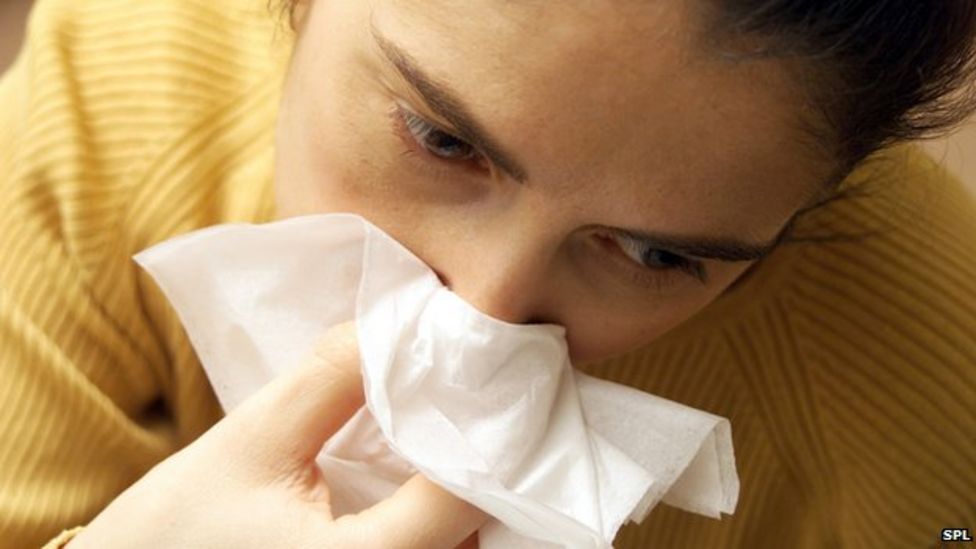 Common cold 'prefers cold noses' BBC News