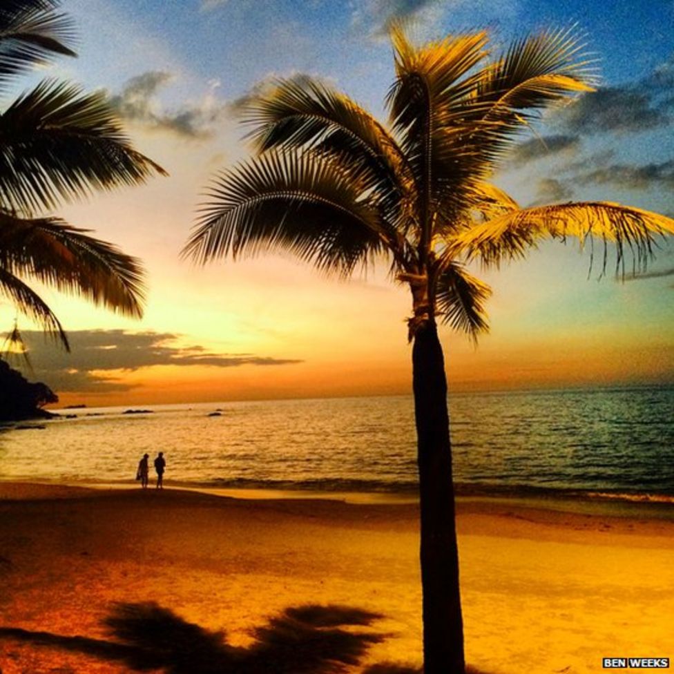 Your pictures Something new BBC News