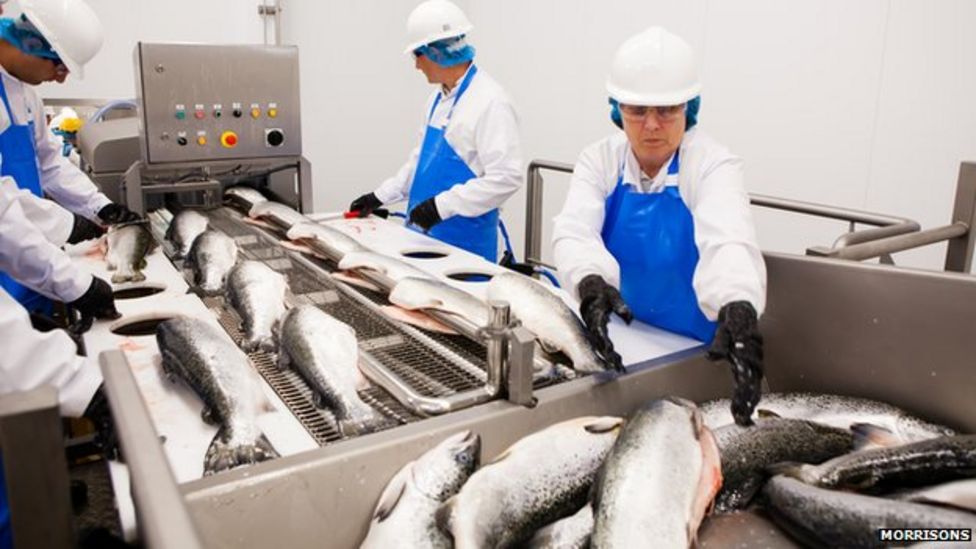 Morrisons to reopen Kerry Foods Grimsby fish factory BBC News