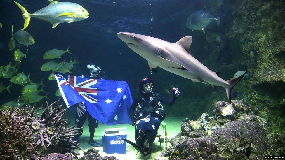Divers pose with an Australian flag during Australia Day underwater party at SEA LIFE Sydney Aquarium on January 20, 2015 in Sydney, Australia.