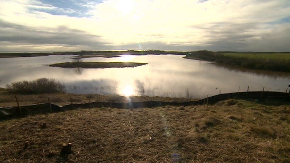 Hauxley nature reserve