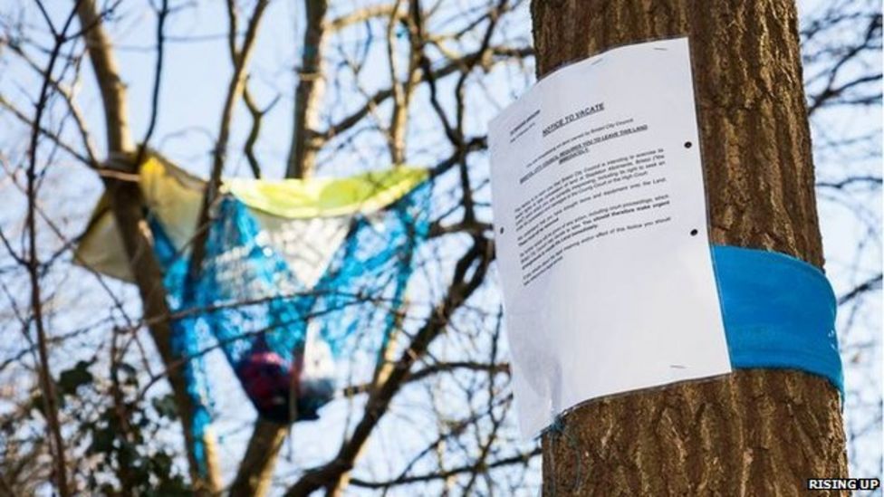 Bristol treetop protesters asked to 'leave immediately' BBC News