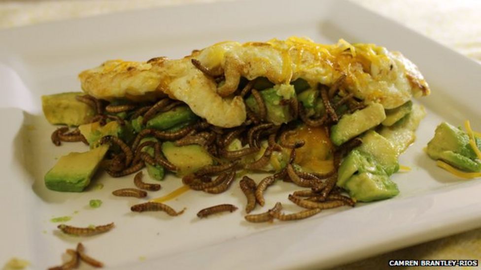 The 30day worm and cricket diet BBC News