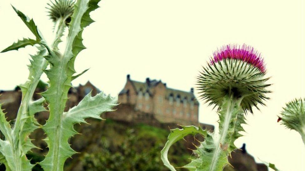 Edinburgh Castle and thistles