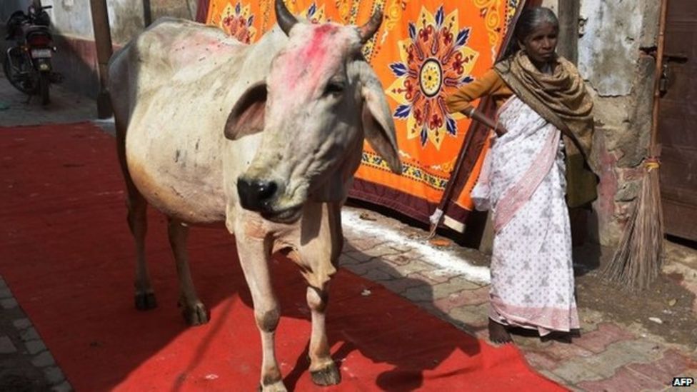 india-s-maharashtra-police-bring-first-beef-ban-case-bbc-news