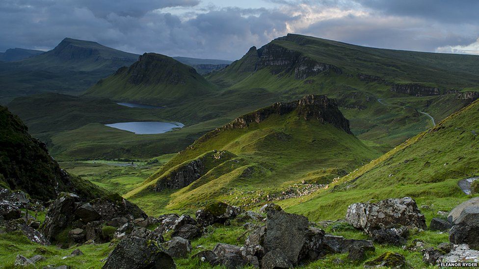 Du bliver bedre klo inkompetence Natural poses: Scottish nature photography prize winners - BBC News