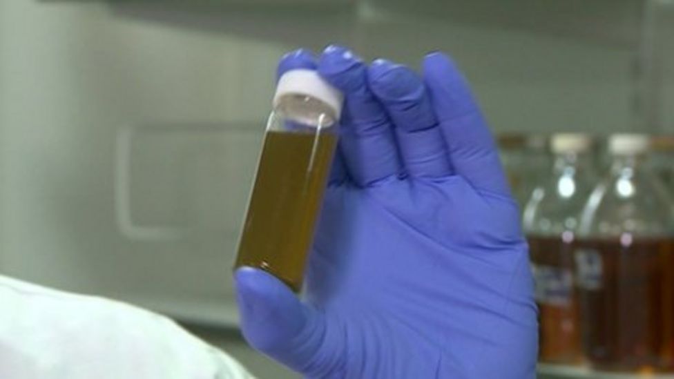 1,000yearold onion and garlic eye remedy kills MRSA BBC News