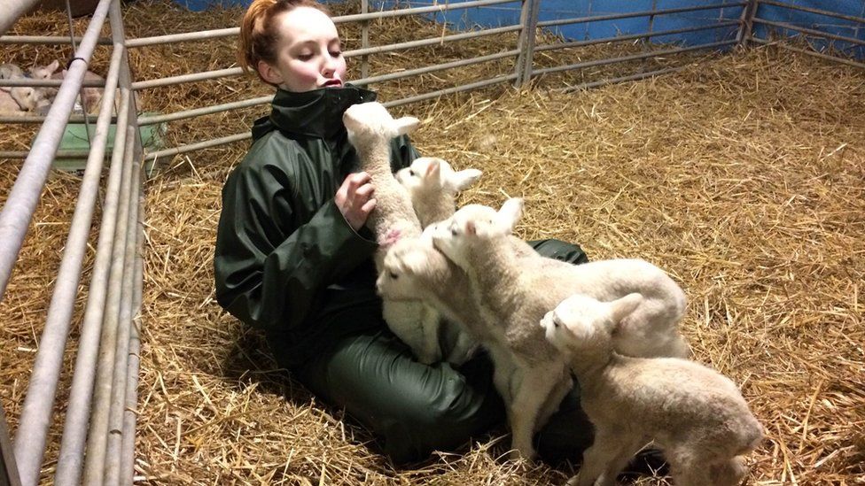 Felicity Ramsay enjoys the company of these lambs on Drumcarro farm outside St Andrews.