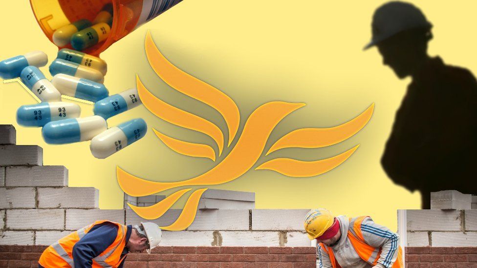 Lib Dem manifesto What's in it for young people in the UK? BBC News