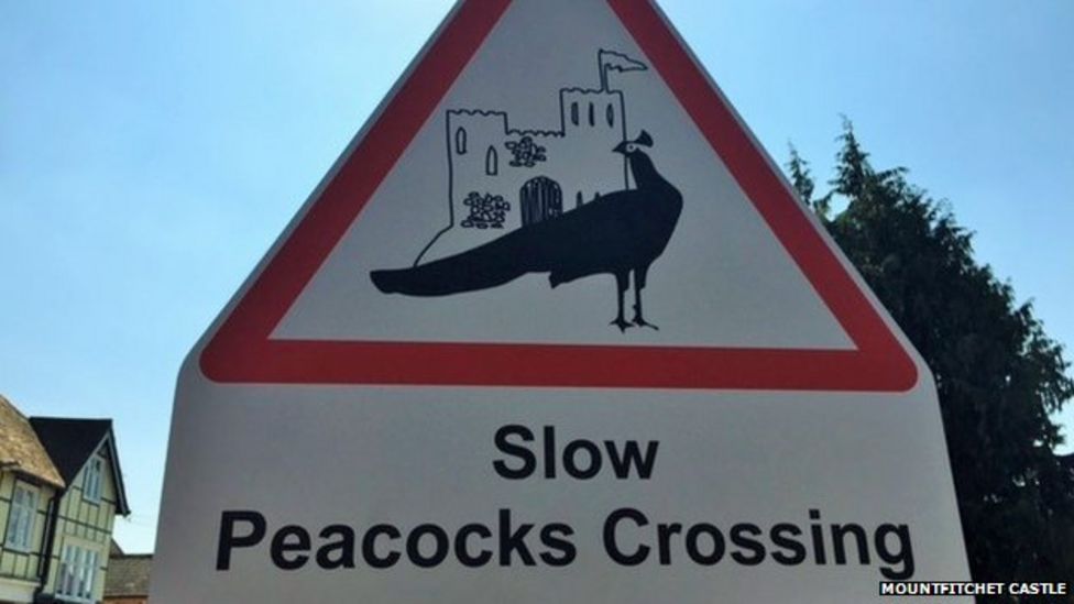 Mystery of Stansted Mountfitchet peacock road crossing signs BBC News