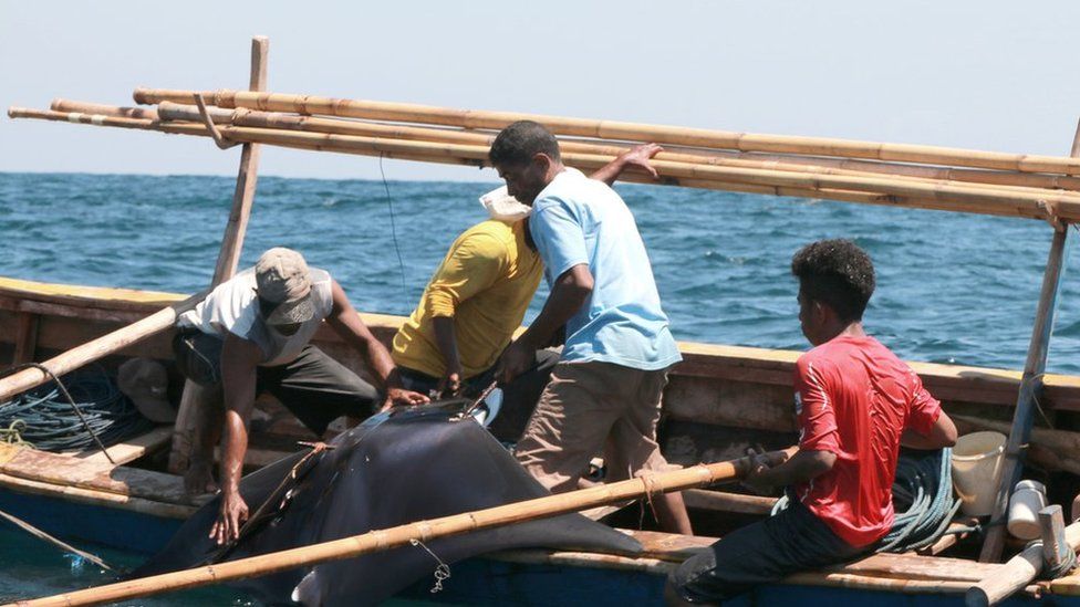 Fishermen grabbing a manta ray