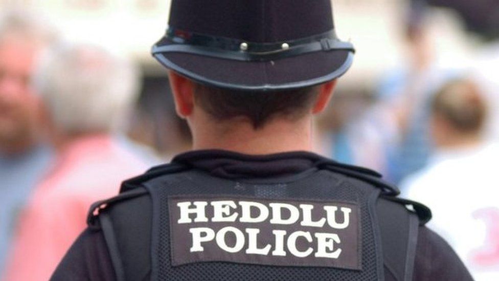 Plaid Cymru wants to scrap police and crime commissioners