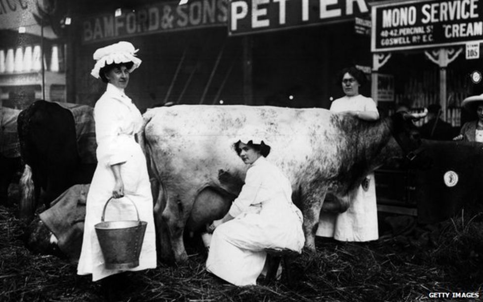 When Was The Cow Milk Discovered at Betty Frederick blog