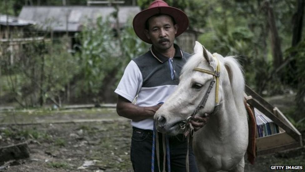 The Indonesian horse that acts as a library - BBC News