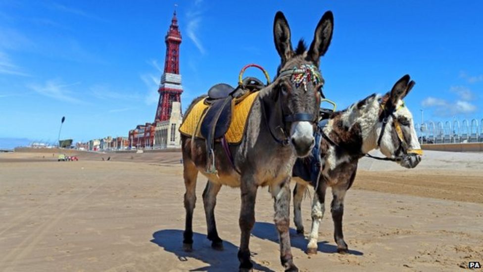 Record Number Of England S Beaches Face Water Quality Failures Bbc News