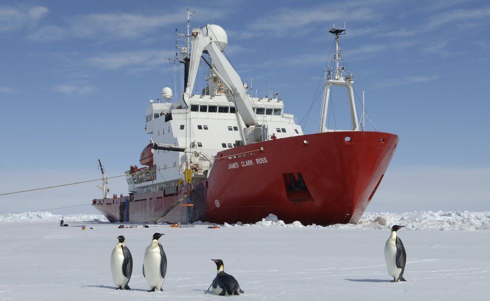 British Antarctic Survey ship with penguins in front