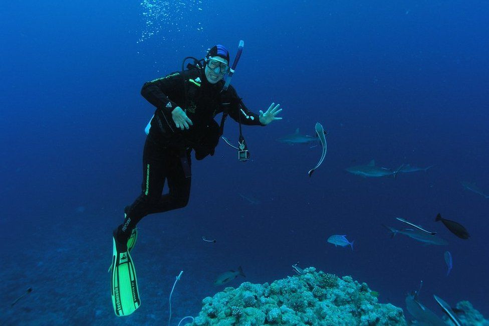 Dave Ebert scuba diving