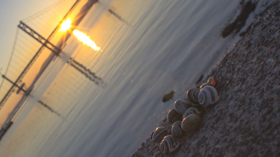 South Queensferry at sunset